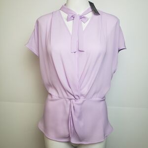 Lavender sheer blouse